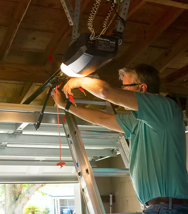 Wayne Dalton Garage Door Opener Repair in Buckeye, AZ